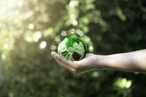 How to Create a Sustainable and Eco-Friendly Lifestyle
